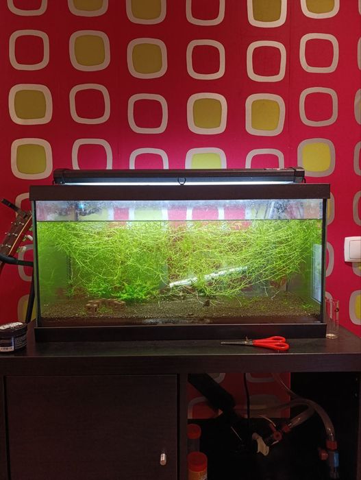 Aquário 100 L USADO