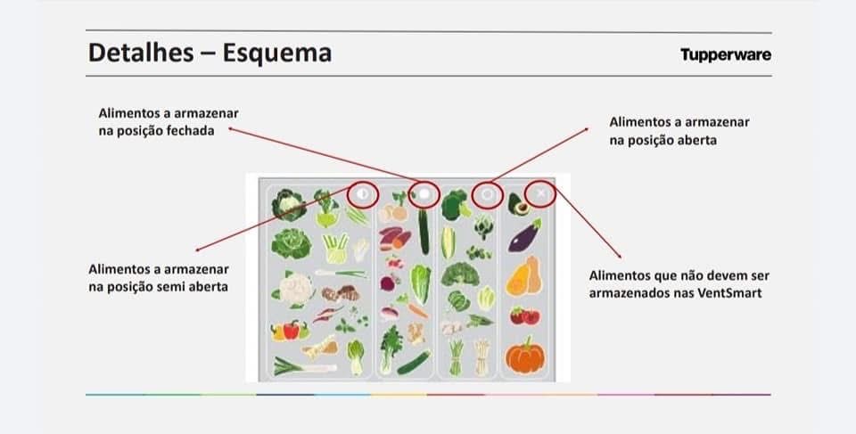 Ventsmart Tupperware 4.4L
