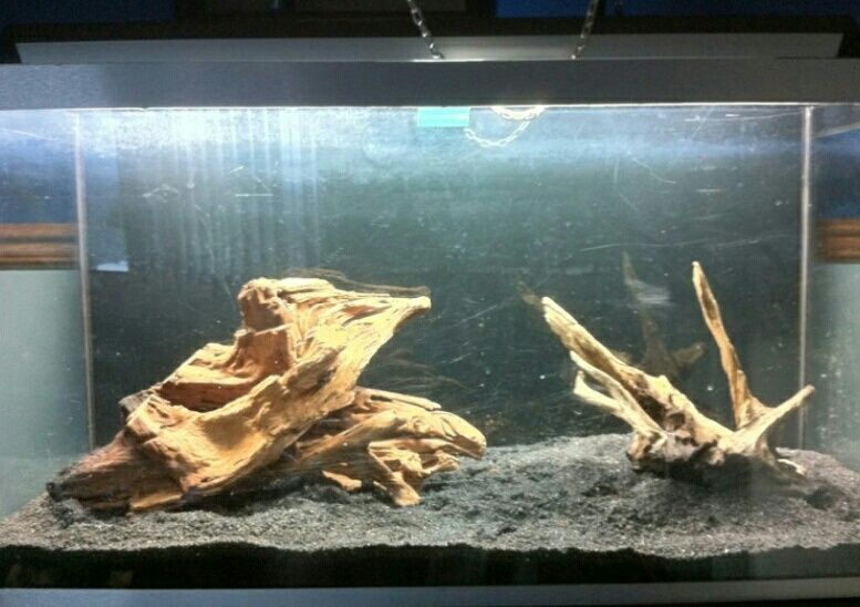 аквариум.коряги.