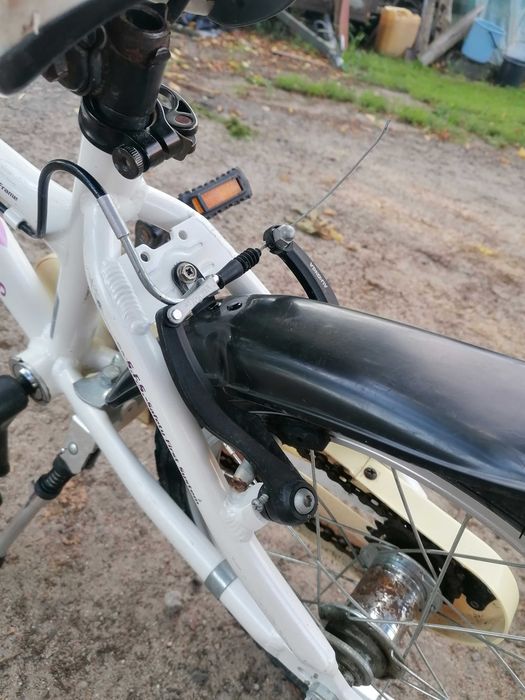 Rowerek Wheeler Junior 160 dziewczęcy