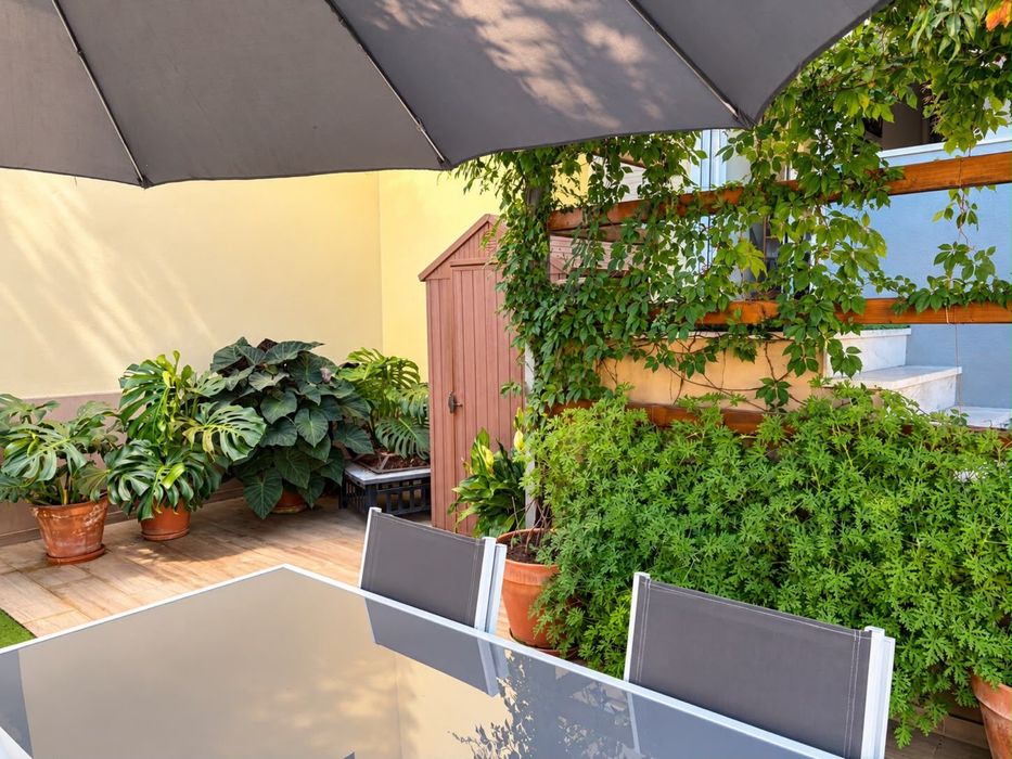 Conjunto de Jardim
