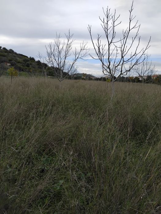 Terreno misto urbano +rustico