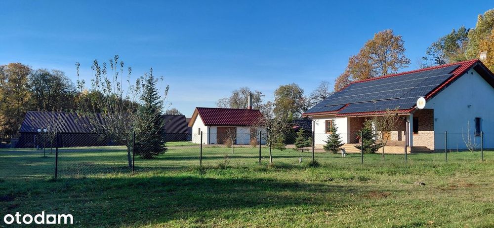 Dom z fotowoltaiką 20 kW i basenem | duża działka 3175 m² | Renice