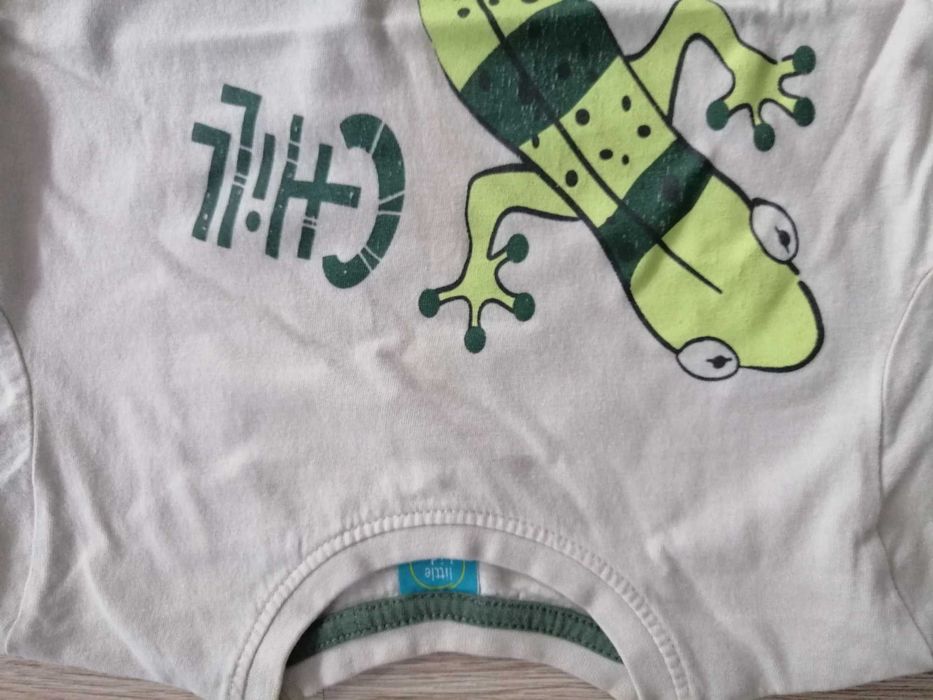 Littke Kids Zestaw T-Shirt dla chłopca 3szt 110 cm