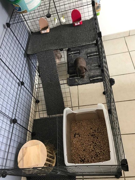 Wybieg klatka zagroda dla świnek chomików szczura psa kota