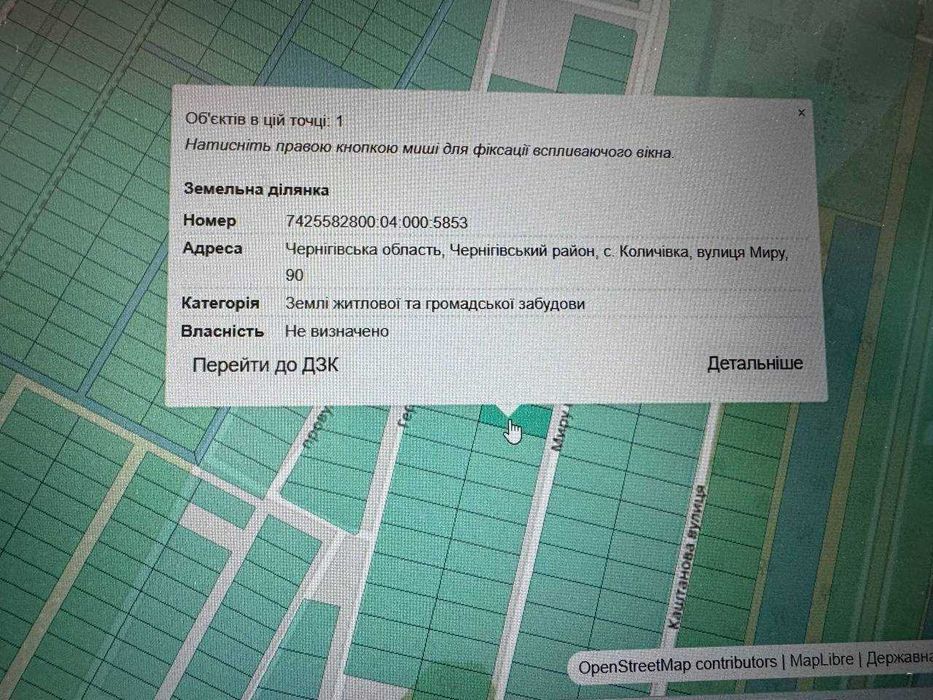 Земельна ділянка в с. Количівка