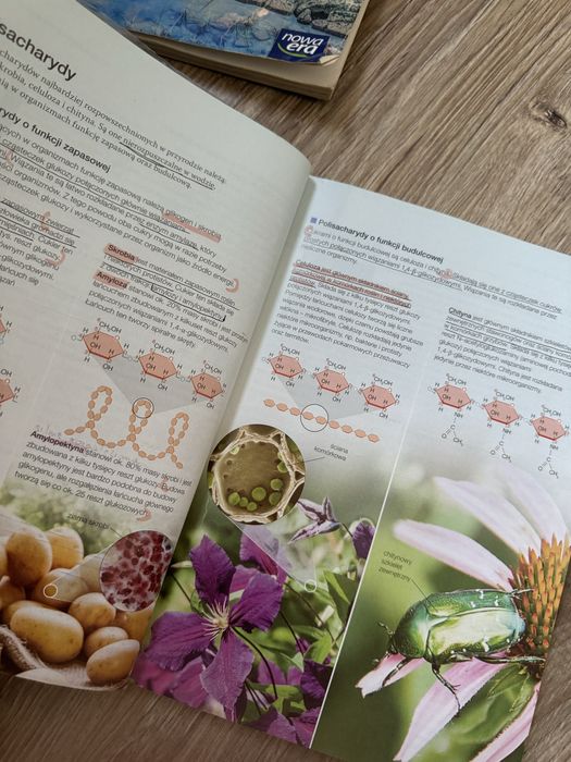 Podrecznik do biologii 1 klasa Nowa Era
