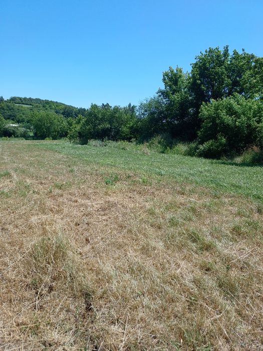 Продам земельну ділянку в с. Лисогірка