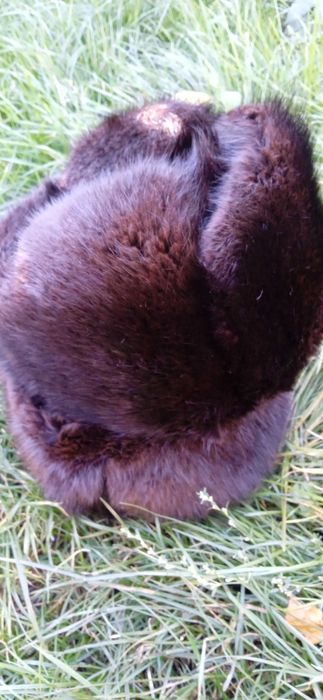 шапки обманки з натурального хутра