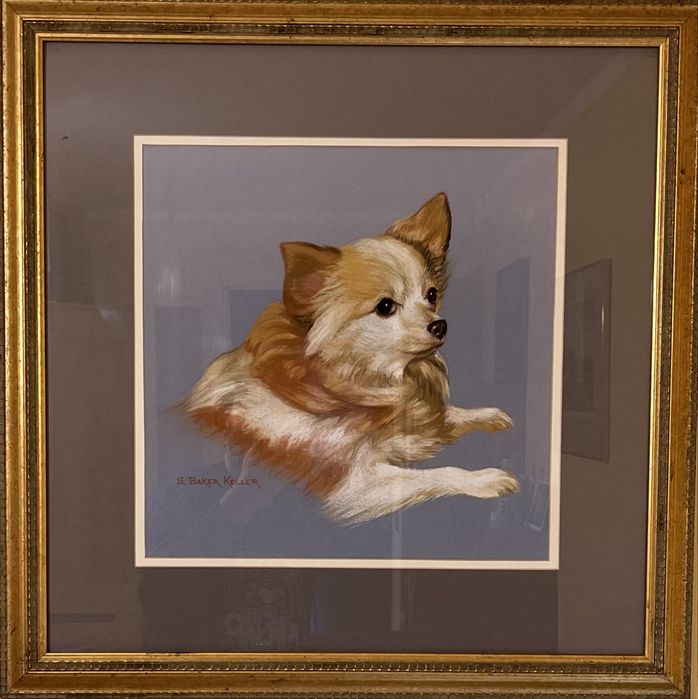Obraz pastelowy chihuahua USA Sally Baker Keller