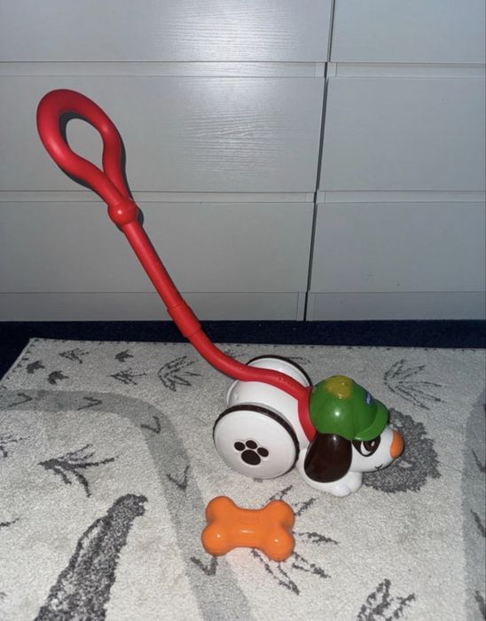 Cão detetive chicco