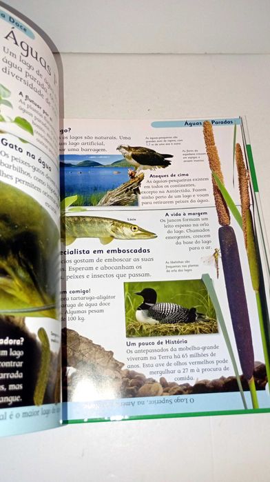 Primeira Enciclopédia da Natureza
