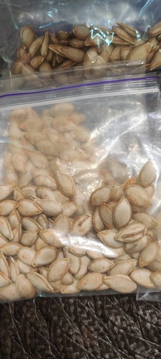 Насіння гарбуза солодкого