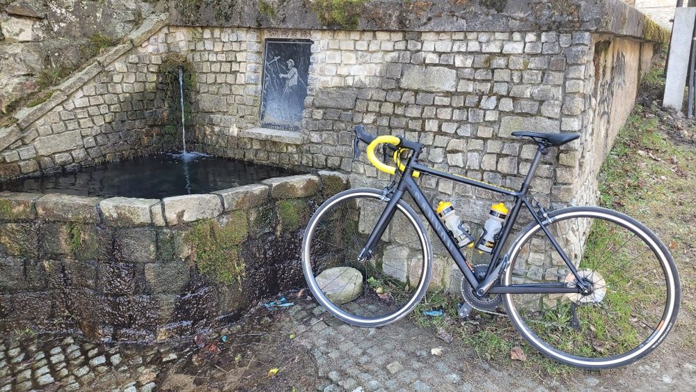 Canyon Endurace AL 8.0