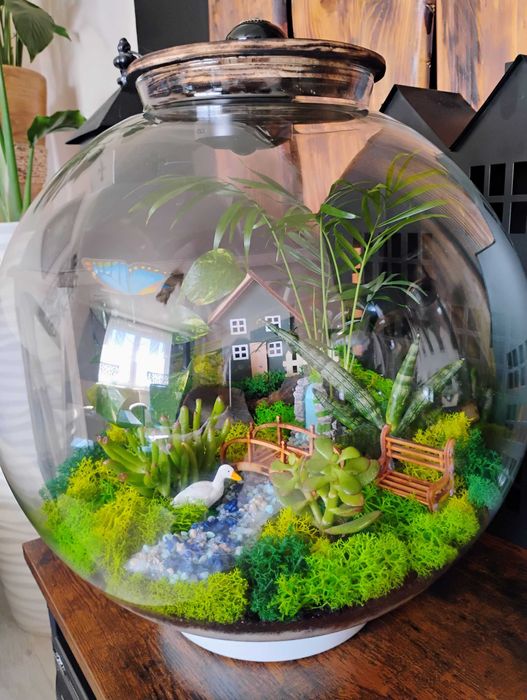 Las w szkle na prezent