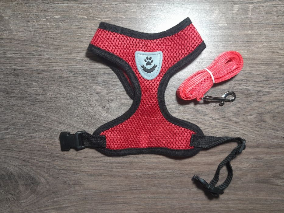 Шлея для котёнка или небольшой кошки