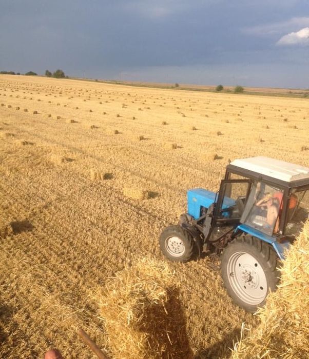 Продаю Ячміні тюки