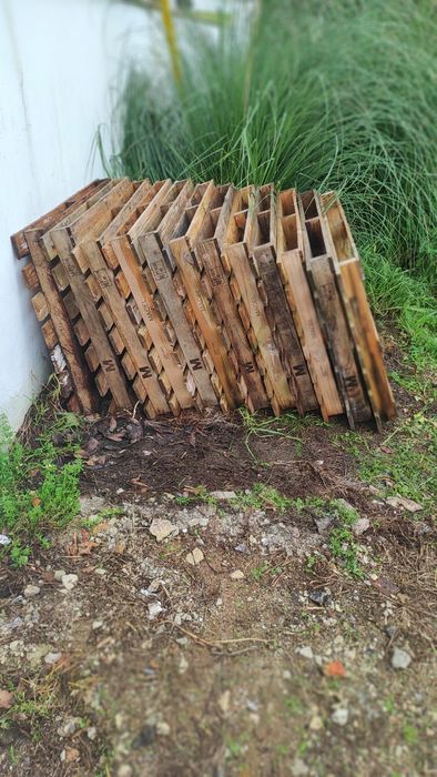 Paletes  madeira