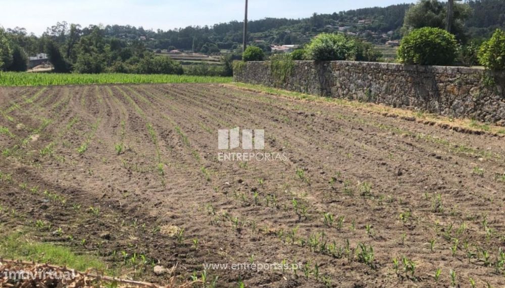 Venda de Terreno para construção em Padornelo, Paredes de Coura