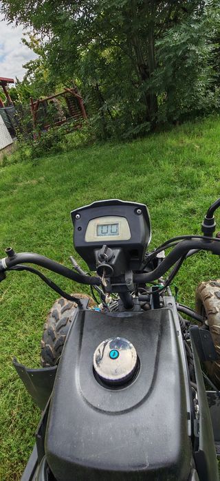Quad 250 Shenke 2010
