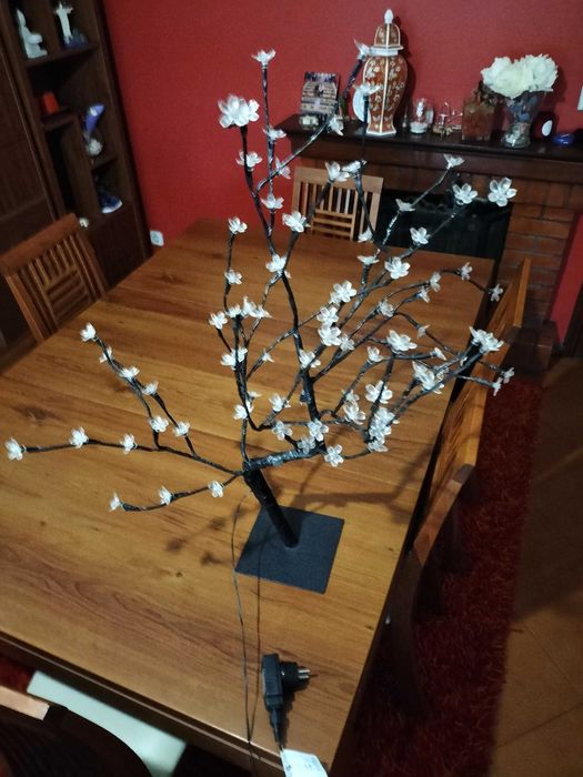 Árvore de natal iluminada.