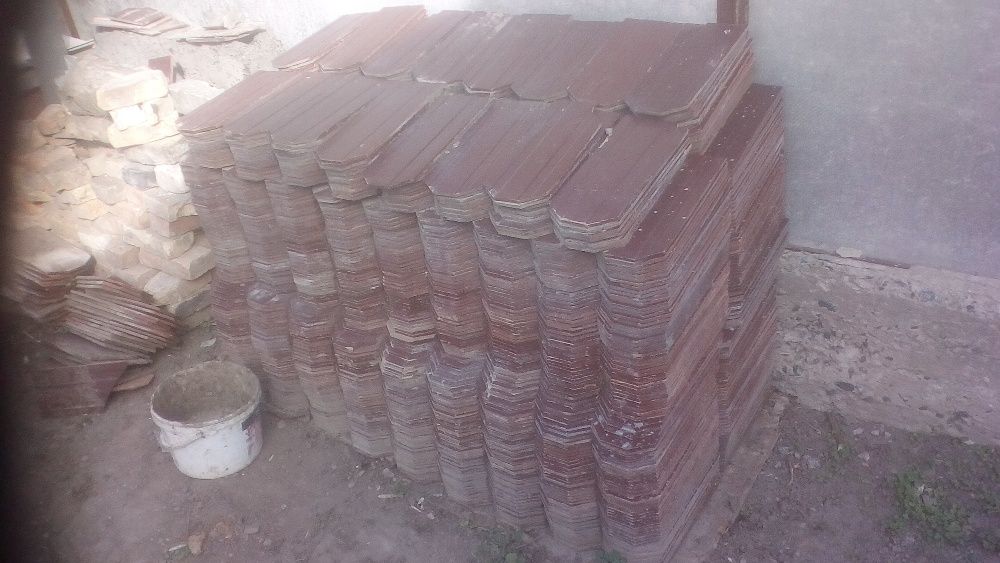 Черепиця хвіст бобра