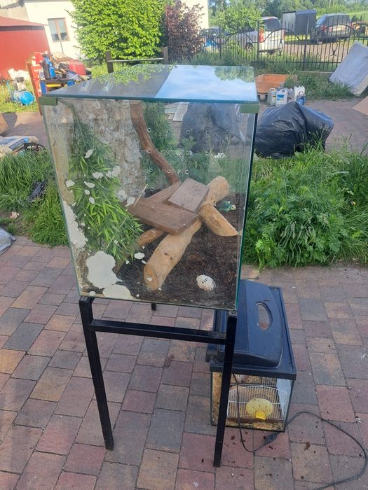 terrarium w dobrym stanie