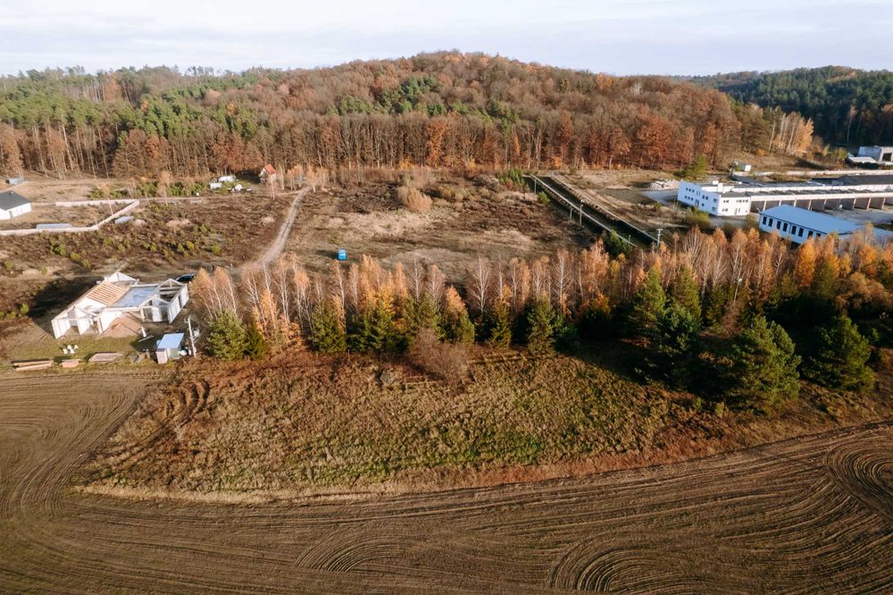 Działka Inwestycyjna 1.5 ha, WZ Mieszkalno-Usługowe, Mszanowo