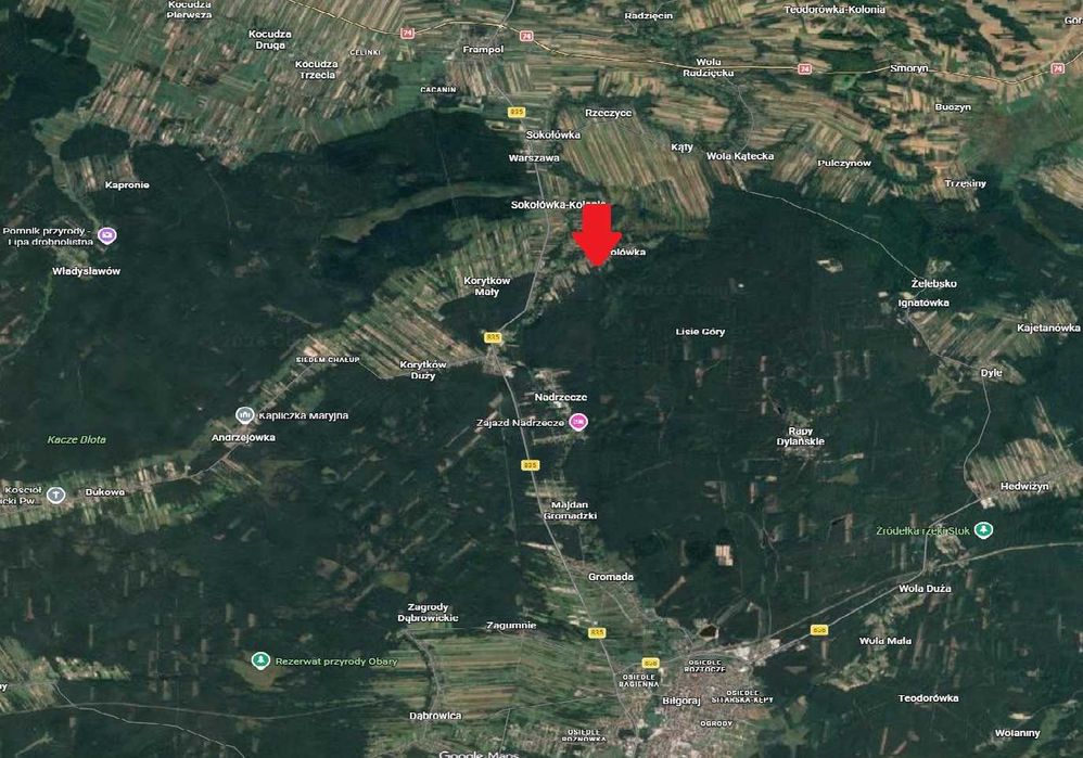 Działka budowlana 1,2 ha – Karolówka, cisza, las, 10 min do Biłgoraja - Widok 2
