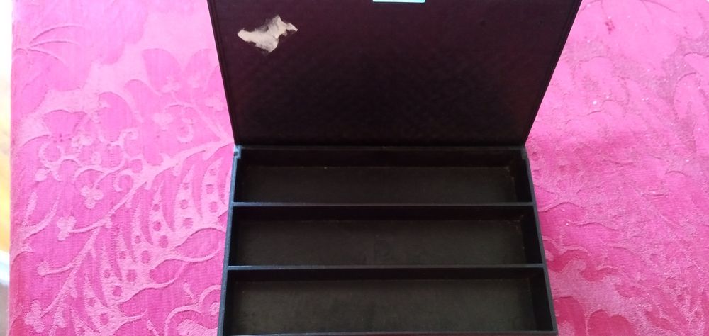 Quer desvendar Segredos? A caixa preta!-8E- Carapins Bébé-2E Desde 2E.