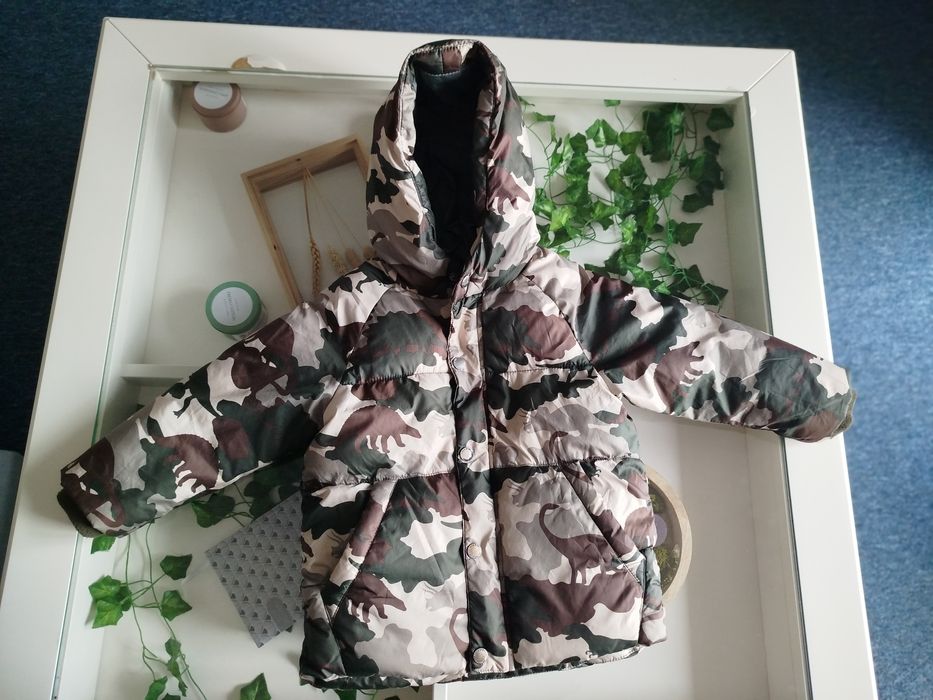 Kurtka Zara moro dinozaury