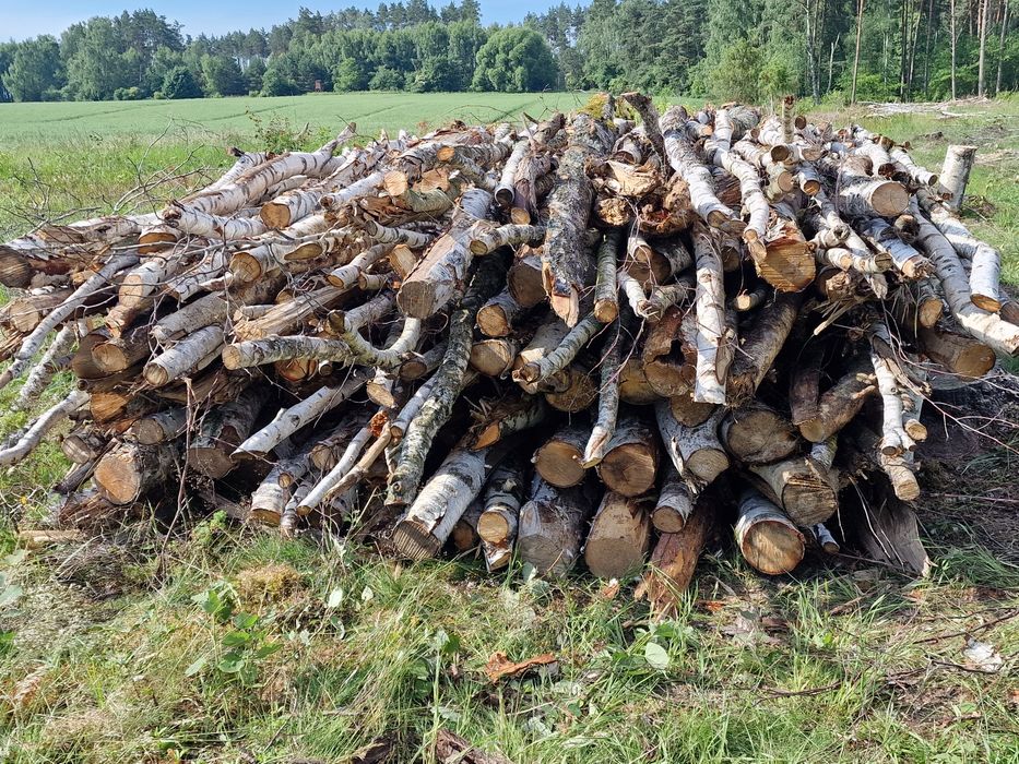 Drewno opałowe ze zrębu suche