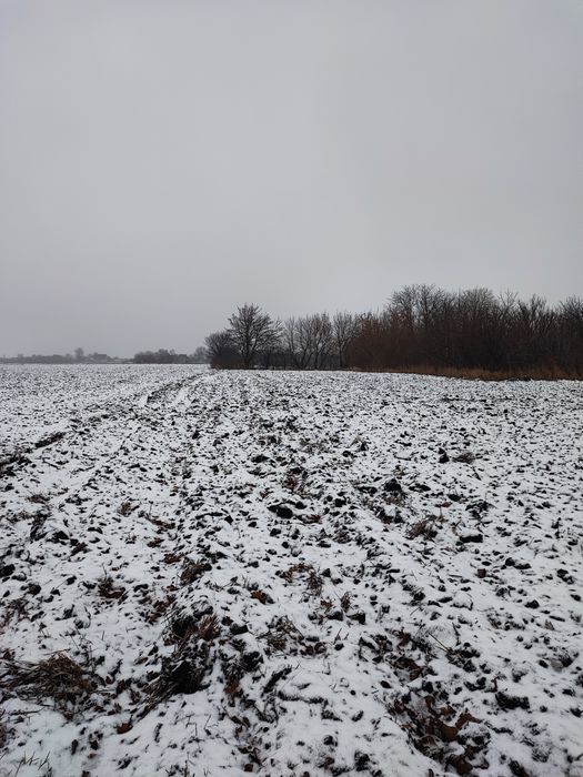 Продам земельну ділянку в місті Узин.