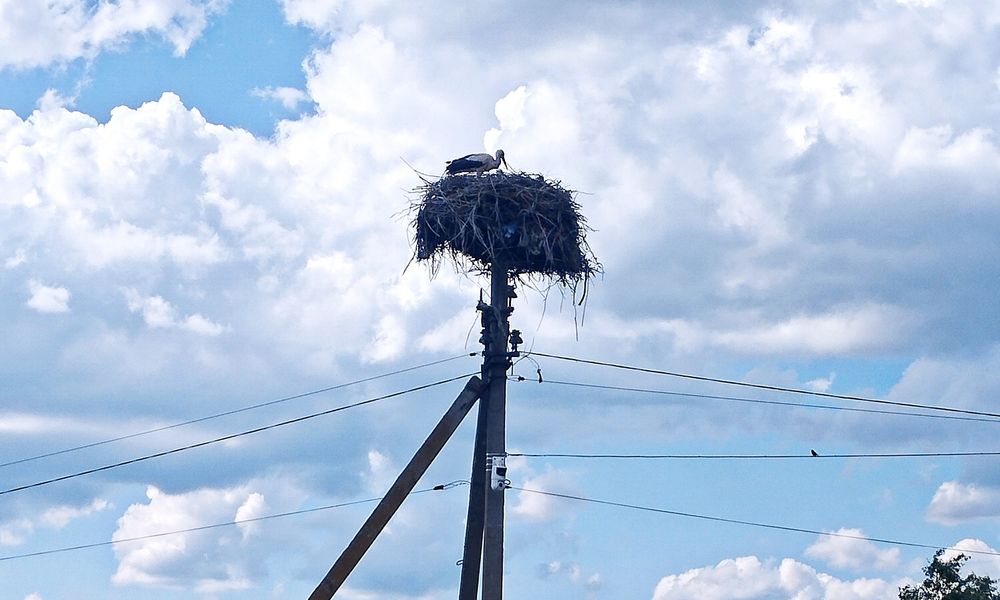 Під житлову забудову  ділянка 18 сот. безпечний район !