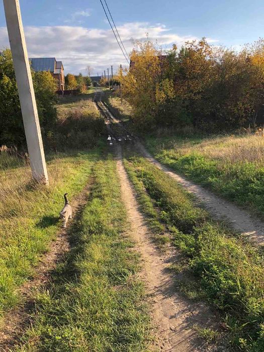 Продається земельна ділянка