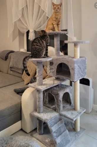 Drapak NOWY dla kotów wysoki XXL stabilny z domkami legowiskami bardzo