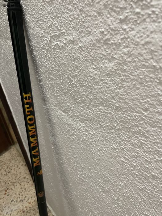 Cana de pesca à boia