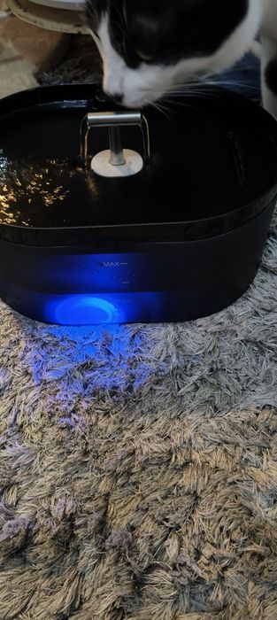 Bebedouro automático para gatos e outros animais.