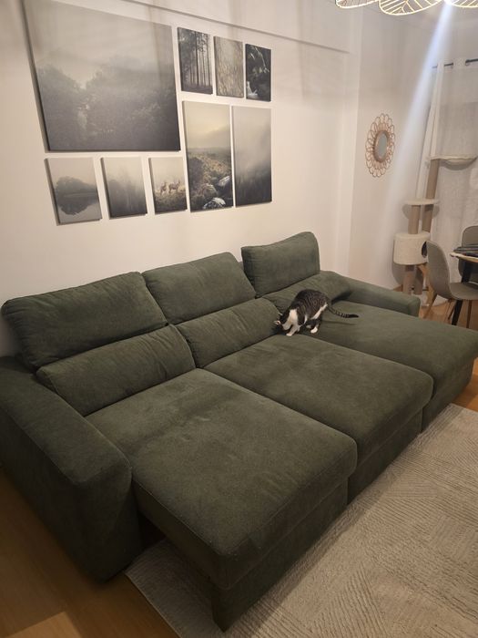 Sofá Cama - Gato preto verde