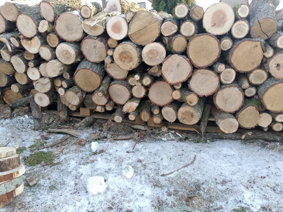 drewno opałowe dębowe