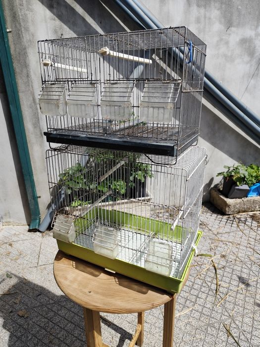 Gaiolas para canários