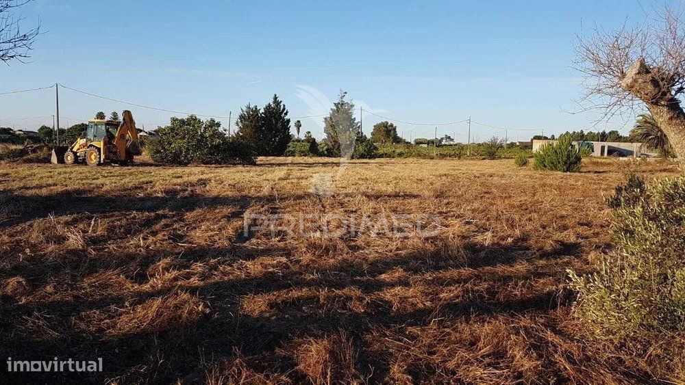 Terreno Lau Palmela