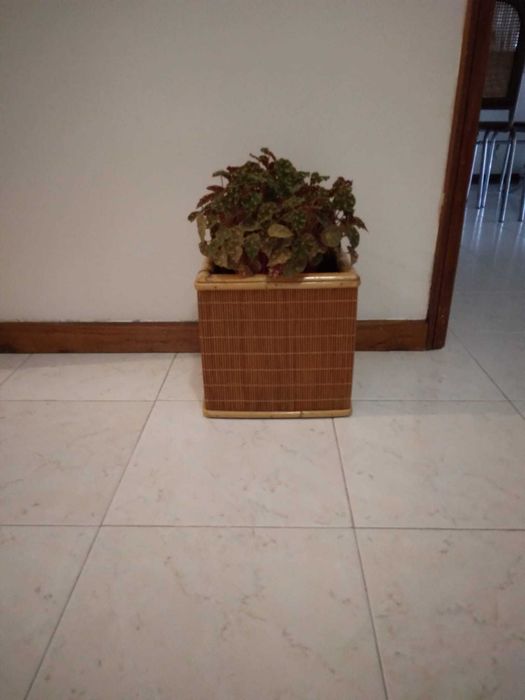 Vaso decorativo em bambu