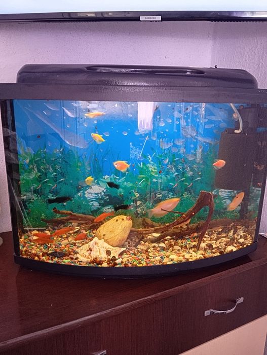 Продам акваріум.