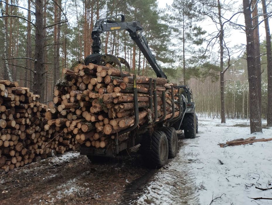 Wycinka drzew samosiejek REKULTYWACJA GRUNTÓW Zielona Góra +-60km