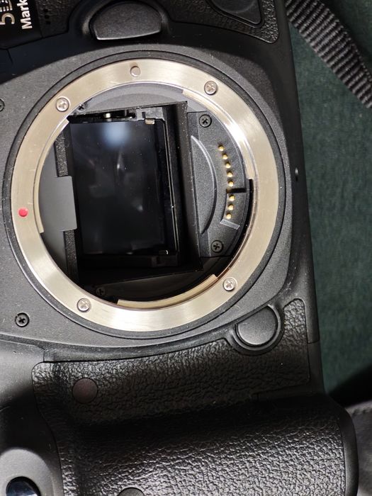 Canon EOS 5D Mark IV