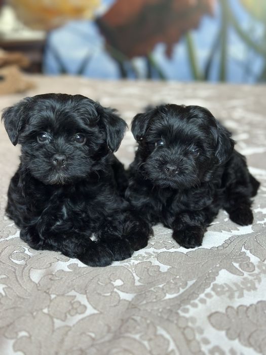 Справжній діамант