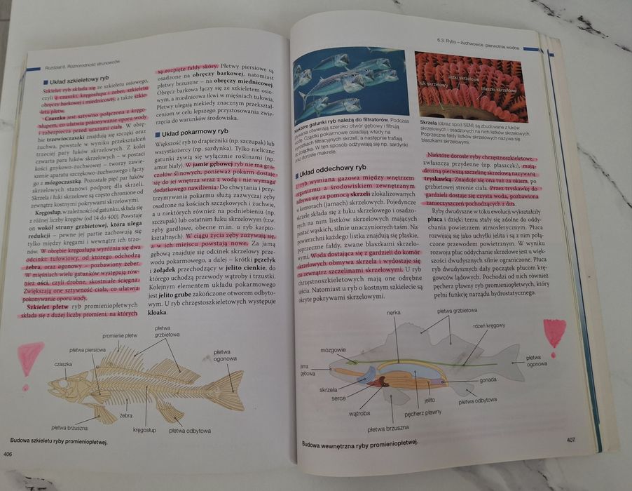 Biologia na czasie 2