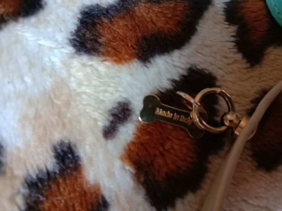 Ошейник итальянского бренда For pets only +кожаный поводок для собак