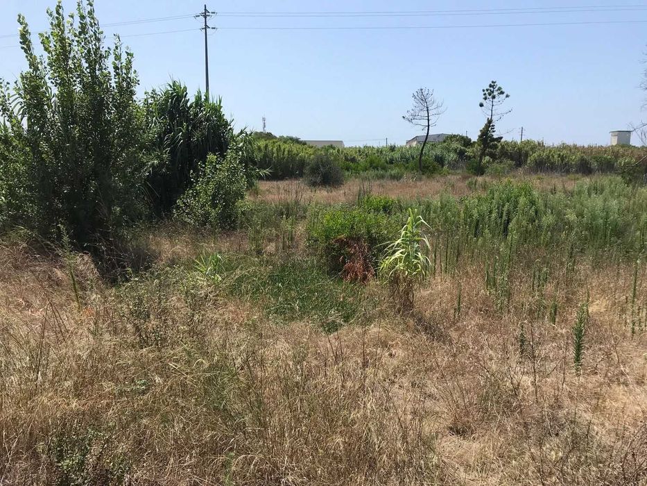 Moradia Isolada M4 | Figueira da Foz